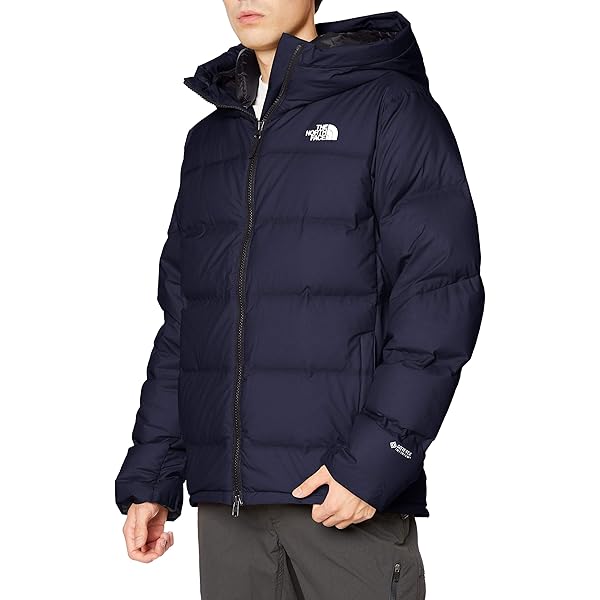 Amazon.co.jp: The North Face Men's Ascent Coat : Clothing